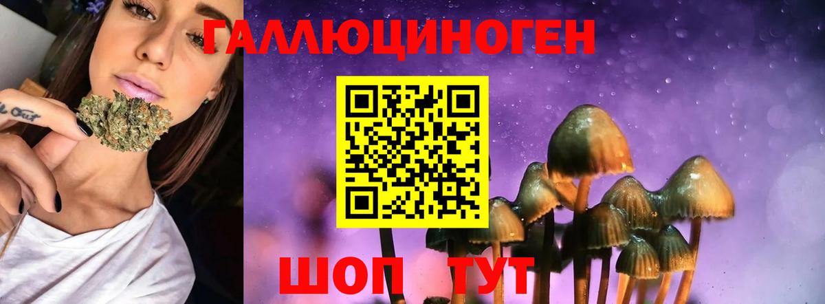 Псилоцибиновые грибы ЛСД  Вход с VPN  Россия 